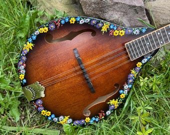 マンドリン　USA Hand-painted deluxe mandolin: Wildflower Meadow design - Etsy 日本