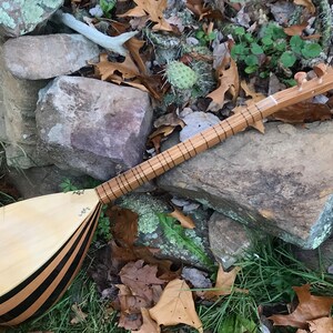 May include: A wooden stringed musical instrument with a pear-shaped body and a long neck. The body is decorated with black stripes and a floral design. The instrument is lying on a bed of leaves and rocks.