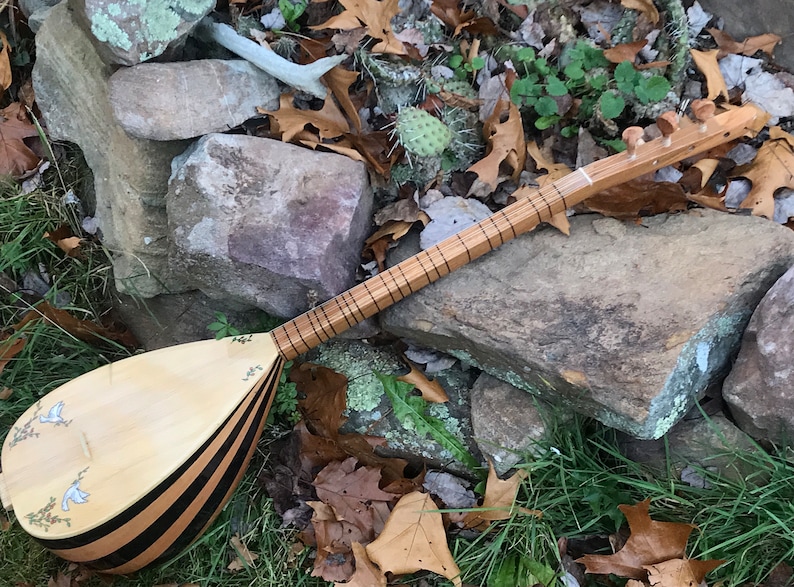 May include: A wooden stringed musical instrument with a pear-shaped body and a long neck. The body is decorated with black stripes and a floral design. The instrument is lying on a bed of leaves and rocks.