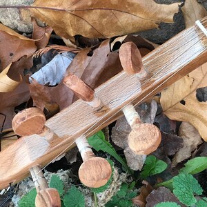 May include: Close-up of the tuning pegs of a wooden stringed instrument. The pegs are made of light brown wood and have a smooth, rounded surface. The strings are white and are wrapped around the pegs. The instrument is lying on a bed of brown leaves.