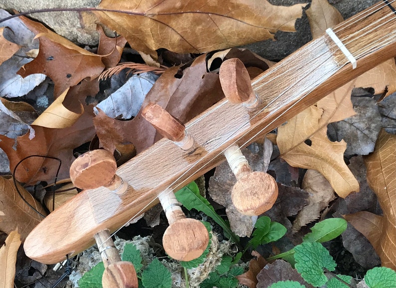 May include: Close-up of the tuning pegs of a wooden stringed instrument. The pegs are made of light brown wood and have a smooth, rounded surface. The strings are white and are wrapped around the pegs. The instrument is lying on a bed of brown leaves.