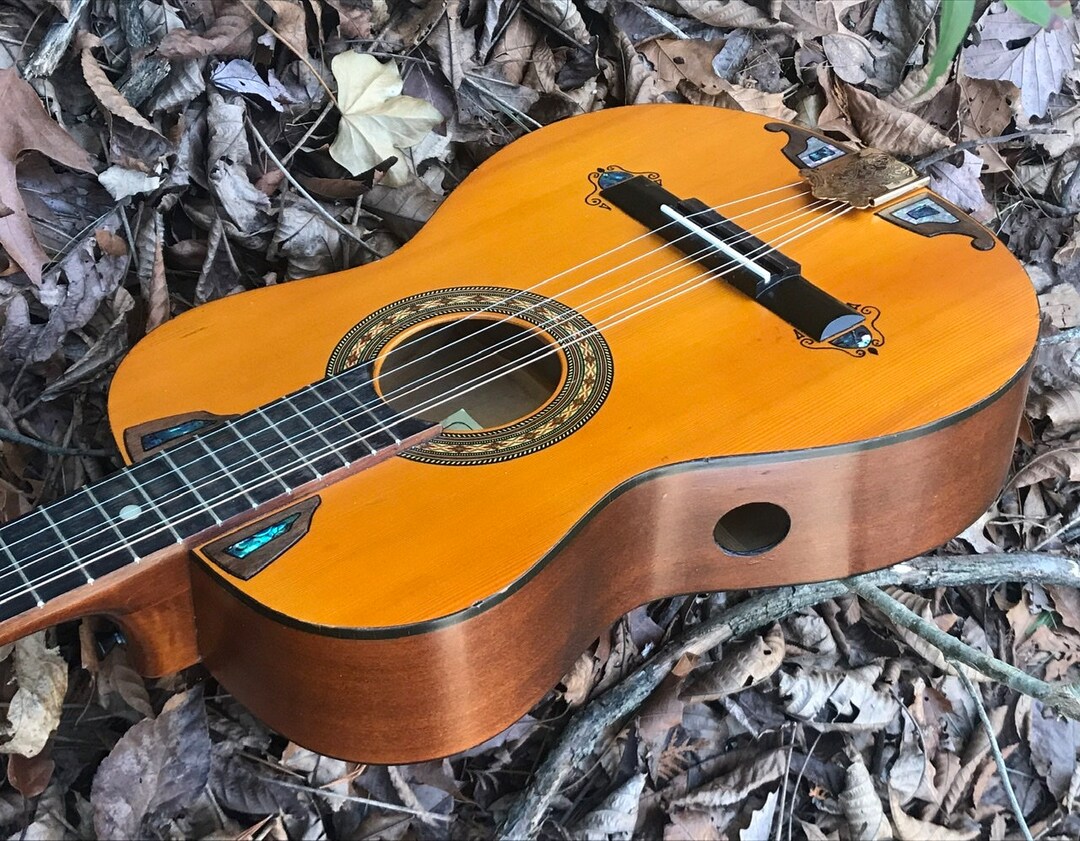 Octave Mandolin/irish Bouzouki Hybrid 1/2 Size Guitar Walnut and Two