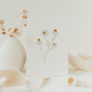 Postkarte Kamille A6 Karte Kindergeburtstag Postkarte Kinder Postkarte Geburtstag Geburtstagskarte Geburtstagsgeschenk Mama Geschenkidee
