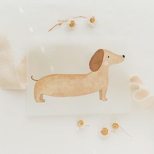 Könnte beinhalten: Eine Aquarell-Illustration eines braunen Dackels auf weißem Hintergrund. Der Hund blickt nach rechts und hat eine rosa Nase und ein braunes Ohr.