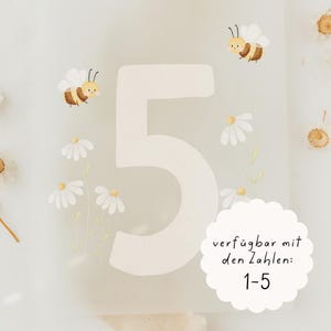 Op de afbeelding: Een crèmekleurige nummer vijf met illustraties van bijen en madeliefjes. De afbeelding bevat de tekst "verfügbar mit den Zahlen: 1-5" in een witte, geschulpte cirkel.
