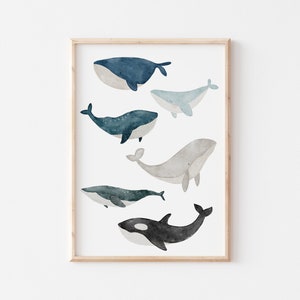 Poster whales A3 A4 children's poster poster children's room poster baby gift girl gift boy poster children animal poster whale poster sea