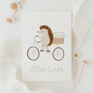 Postkarte Geburtstag Igel Fahrrad A6 Karte Deko Postkarte Kinder Postkarte Geburtstag Geburtstagskarte Geburtstagsgeschenk Tier Geburtstag