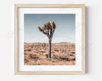 Joshua Tree National Park Print, Desert Landscape Wall Art, Signed Paper Canvas