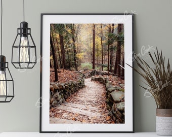 Woods Photo Print, Steps, Pathway, Forest Wall Art, Autumn, Fall Leaves, Cottagecore, "Lighting the Way"