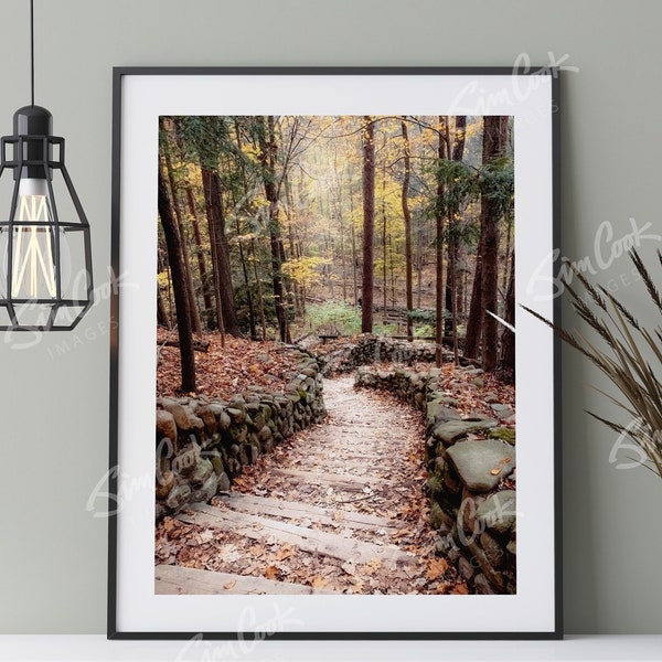 Woods Landscape Photo Print, Pathway Wall Art, Autumn, Fall Leaves, Cottagecore, "Lighting the Way"