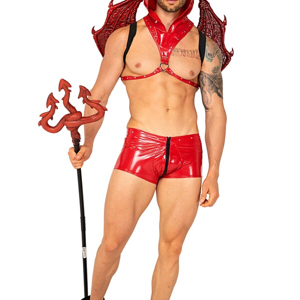 Devil Costume Mens Red Satan Hooded Harness Studs Horns Zip-Up Trunks Sexy Seductive Erotic Provocative Pride Cosplay Halloween 2-PC 5082