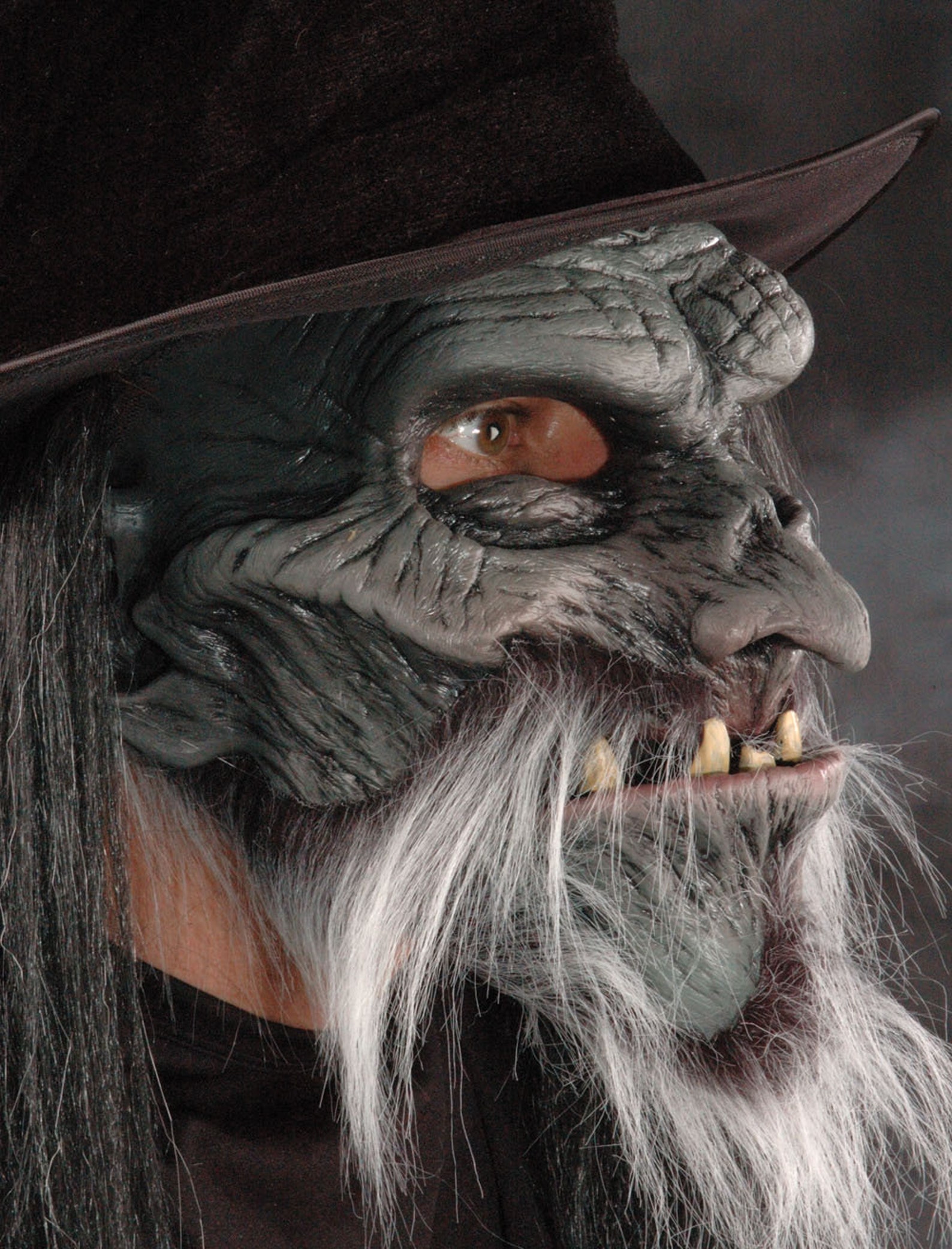 zombie keeper zombie quest zombie keeper zombie quest