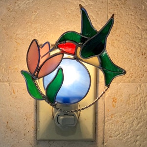 Luz de noche de colibrí de vidrio de colores/6” X 4 1/2” de ancho Colibrí con flor/Luz de noche 3D