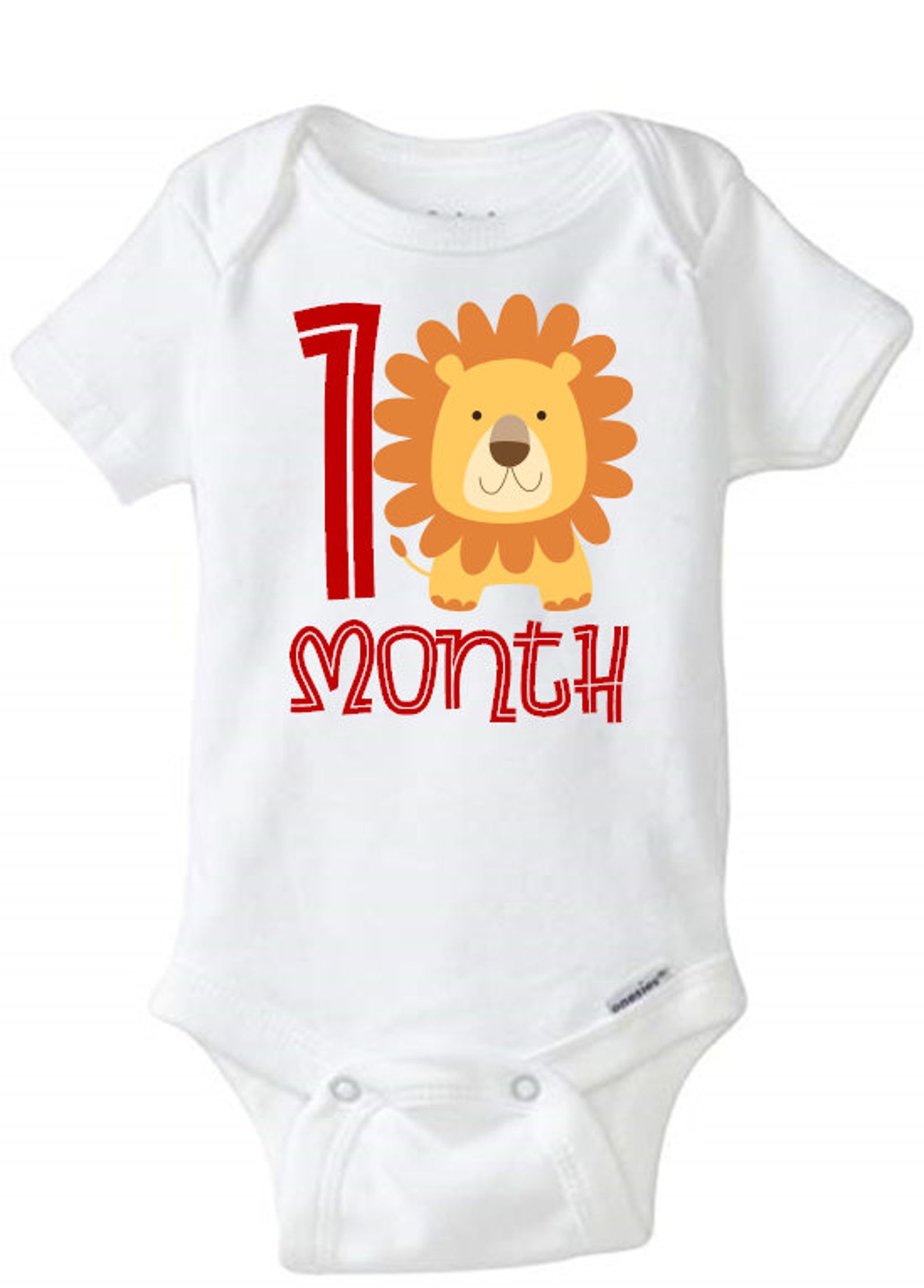 Monthly Milestone Bodysuits main image 1