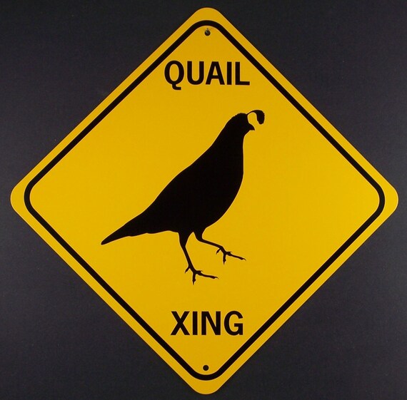 TURTLE XING Aluminum Sign Won/'t rust or fade