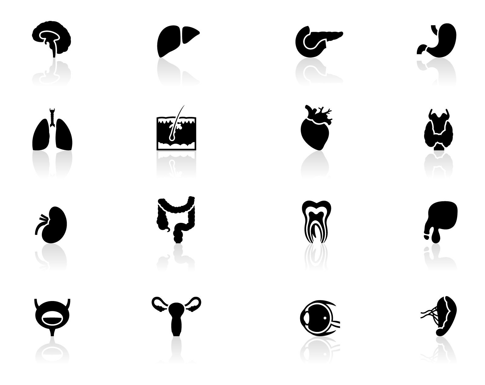 Download Organs Icons Organs Svg Human Organs Icon Design Icon Etsy