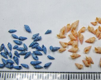 Micro-dyed augers (50+ )Vintage 1/16-3/16"- choice -blue, peach, brown- tiny snails
