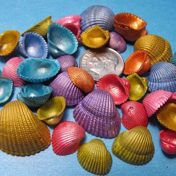 Tiny dyed Ark Seashells 2" x 3" bag  pearl finish 1/2"- 3/4"- shell craft, vase fillers, candles, fairy gardens, dollhouse art, beach decor