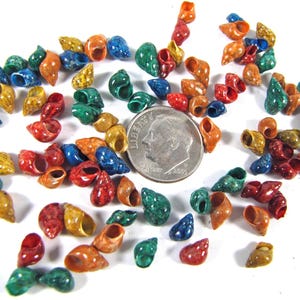 Tiny dyed Pheasant seashells ((40+) 1/4" mini colorful snails, crafts