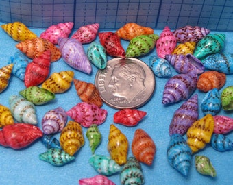 Mini dyed Dove seashells 3/8"-5/8" colorful snail craft shells, beach decor