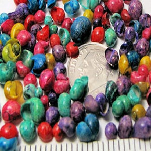 Tiny dyed littorina seashells -1 tsp = 100 mini colored snail shells,crafts