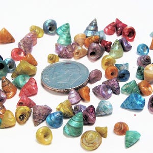 Tiny DyedTrocus Seashells (1 tbls.) mini craft shells,  1/8"- 1/4"