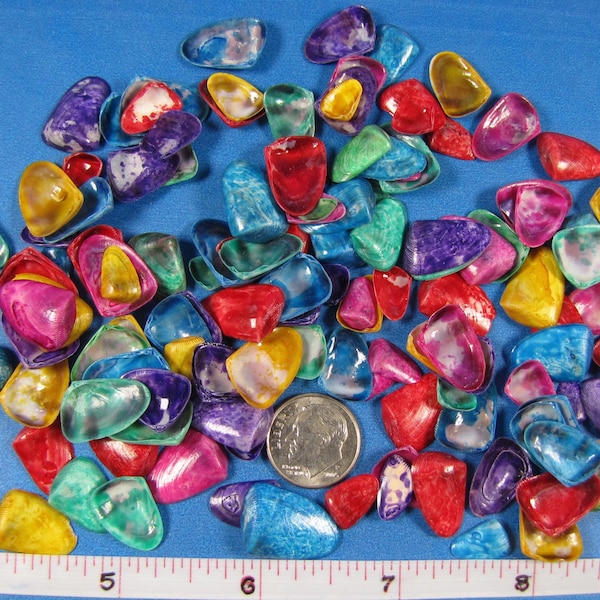 Dyed coquina seashells, 2 x 3" bag (100) - 1/2" 3/4" bright colored craft shells, kids crafts, beach decor, fillers, borders, nautical art