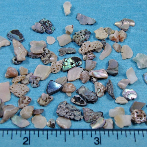 Mini Abalone Chips  1/8"-1/2" (1 tsp. abt.100 pieces) seashell art, jewelry, inlay, sailors valentines, beach decor, crafts, mosaics