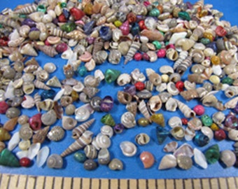 Micro-mini Seashell mix 1/8"- 1/2" (1/8 cup abt 200 shells) dyed & natural -ornaments, sailors valentines, jewelry, beach decor, dollhouse