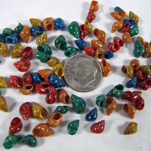 Tiny dyed Pheasant seashells ((40+) 1/4" mini colored snails, crafts, jewelry, embellishments, beach decor, vase fillers, fairy gardens