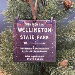 May include: A brown wooden sign with the text "OPEN 9:00 A.M. WELLINGTON STATE PARK" in white lettering. The sign also includes the text "SWIMMING - PICNICKING WILDLIFE SANCTUARY NEW HAMPSHIRE STATE PARKS" in white lettering.