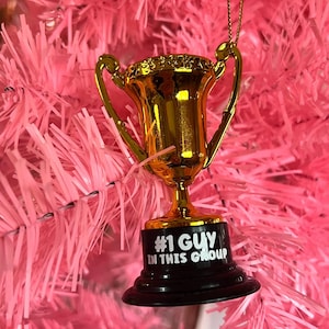 May include: A gold trophy ornament with a black base. The trophy has the text "#1 GUY IN THIS GROUP" on the base.