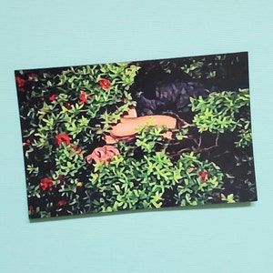 Waterproof Sticker - Luann in the Bush Watercolor