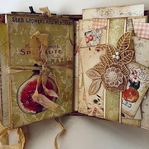 Handmade Mini Album Fruit Paradise
