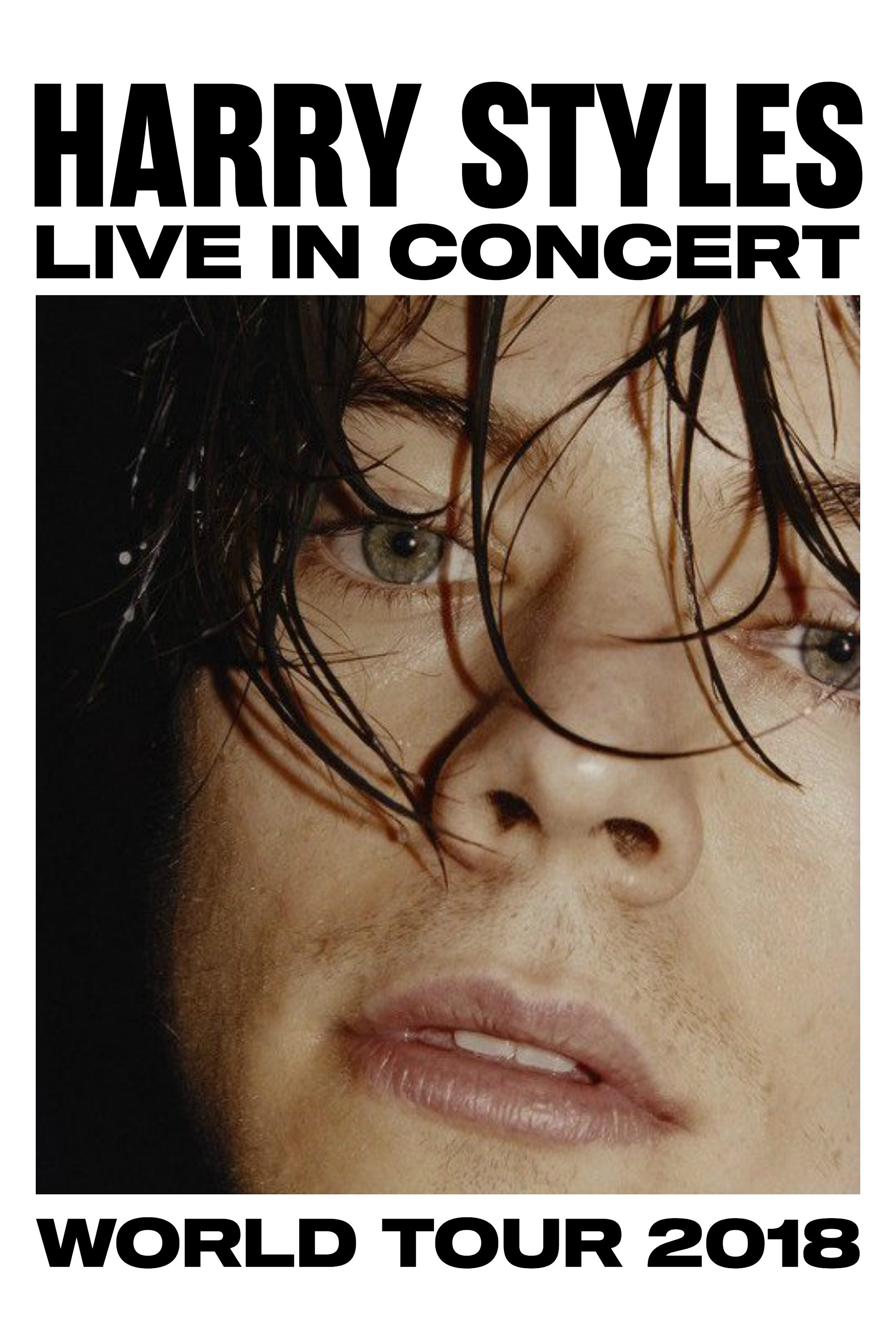 DIGITAL DOWNLOAD Harry Styles 2018 World Tour Poster Etsy