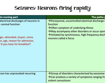 Seizures (Overview)/NEURO/Seizure/Drugs/ Nursing School/ Nursing Study Guide/ Nursing Student/ Nursing Student Study Guide