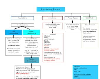 Respiratory Trauma/Ventilation/Asthma/COPD/TB/Pneumonia/Nursing School/ Nursing Study Guide/Nursing Student