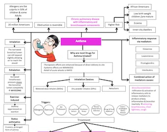 Asthma Treatment/Ventilation/Asthma/COPD/Allergic Rhinitis/TB/Pneumonia/ Nursing School/ Nursing Study Guide/Nursing Student