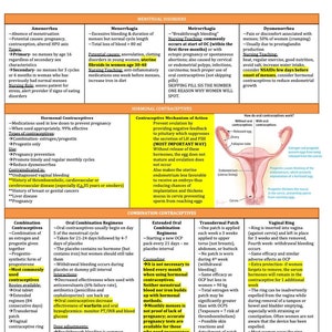 Menstrual Complications & Contraceptives/Nursing School/Nursing Study Guide/ Nursing Student/Nursing Student Study Guide