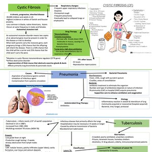 May include: A colourful infographic diagram explaining the causes, symptoms, and treatments for cystic fibrosis, pneumonia, and tuberculosis. The diagram includes illustrations of the lungs and bacteria.
