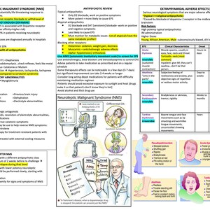 May include: A medical chart explaining the symptoms, causes, and treatments for neuroleptic malignant syndrome (NMS), a rare and potentially life-threatening condition that can occur with antipsychotic medications. The chart includes a cartoon illustration of a doctor and a patient.
