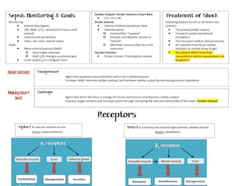 Sepsis Goals & Receptors: SHOCK Nursing Student Study Guide