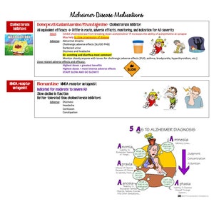 May include: A colorful infographic about Alzheimer's disease medications and treatments. The infographic includes information about cholinesterase inhibitors, NMDA receptor antagonists, herbs and dietary supplements, and drugs for neuropsychiatric symptoms. The infographic also includes a diagram of the five As of Alzheimer's diagnosis: anomia, amnesia, apraxia, agnosia, and aphasia.