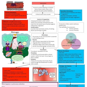 Puede incluir: Un diagrama colorido que explica el proceso de hemostasia, trombosis y embolia. El diagrama incluye ilustraciones de vasos sanguíneos, plaquetas y fibrina. El texto describe las diferentes etapas de la coagulación de la sangre y la formación de coágulos de sangre.