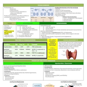 May include: A colorful chart explaining the thyroid gland, its hormones, and the conditions of hypothyroidism and hyperthyroidism. The chart includes diagrams of the thyroid gland, symptoms, and treatment options.