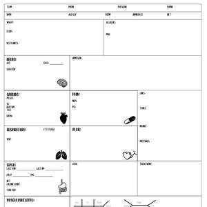 Nursing Report Sheet L