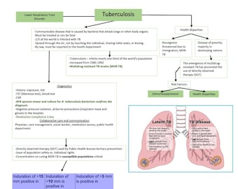 Tuberculosis, Pneumonia, Flu, Bronchitis, Pertussis/Ventilation/Asthma/COPD/TB/Pneumonia/Nursing School/ Nursing Study Guide/Nursing Student