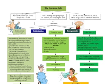 The Common Cold/Ventilation/Asthma/COPD/TB/Pneumonia/Nursing School/ Nursing Study Guide/Nursing Student