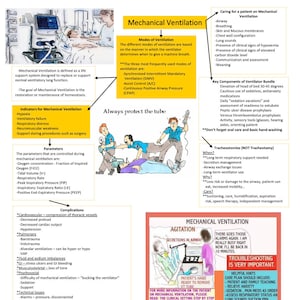 Könnte beinhalten: Eine farbenfrohe Infografik über mechanische Beatmung, ein lebenserhaltendes System, das Patienten beim Atmen hilft. Die Infografik enthält Informationen über die verschiedenen Beatmungsmodi, Komplikationen und wichtige Überlegungen zur Pflege eines Patienten unter mechanischer Beatmung. Sie enthält auch eine Cartoon-Illustration eines Patienten an einem Beatmungsgerät.