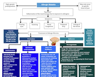 Allergic Rhinitis/Ventilation/Asthma/COPD/Allergic Rhinitis/TB/Pneumonia/ Nursing School/ Nursing Study Guide/Nursing Student